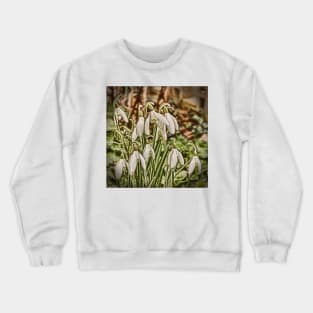 Snowdrops Crewneck Sweatshirt